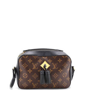 Louis Vuitton Saintonge Handbag Canvas #239227L17B